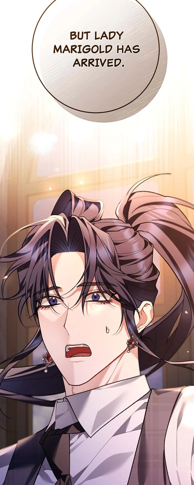 The Second Male Lead is Actually a Girl Chapter 67 265 24