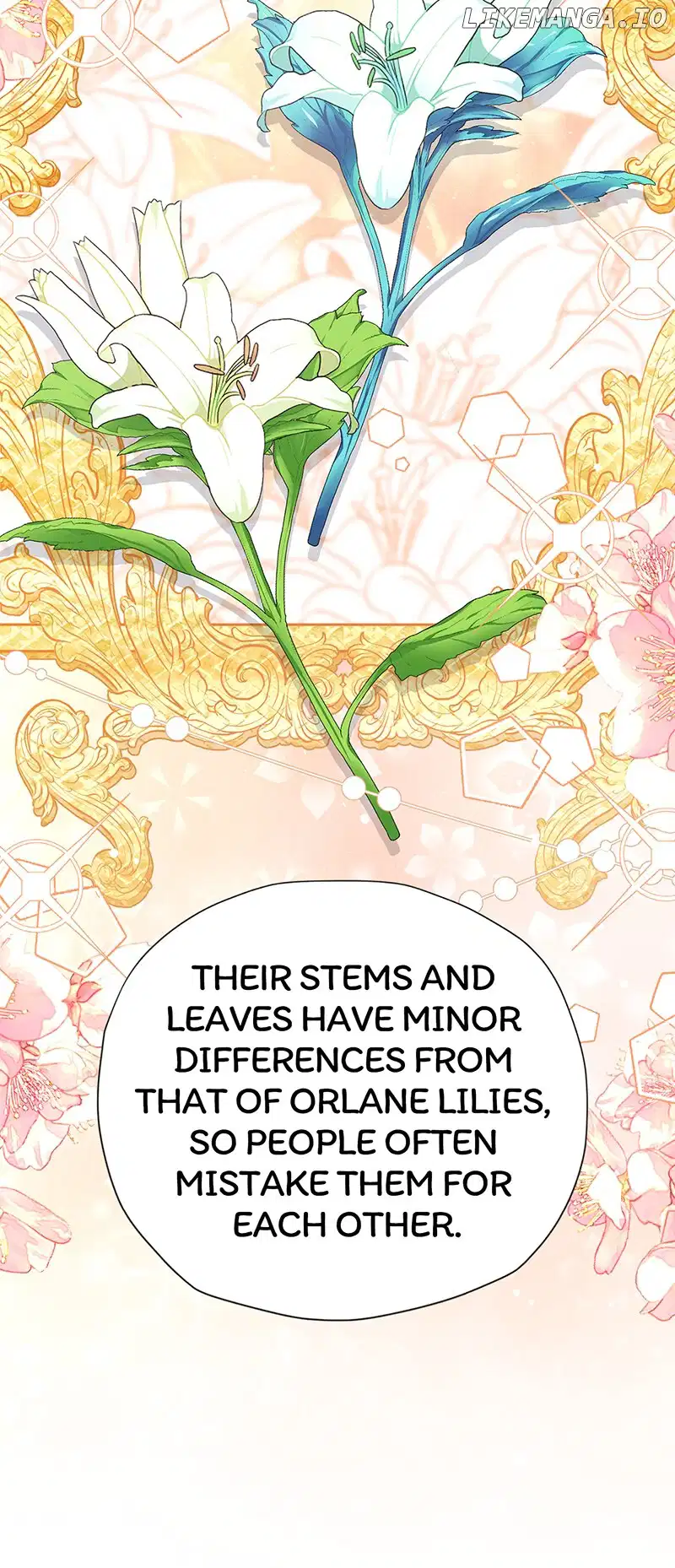 I’m in Love with My Foe Chapter 81 118 09