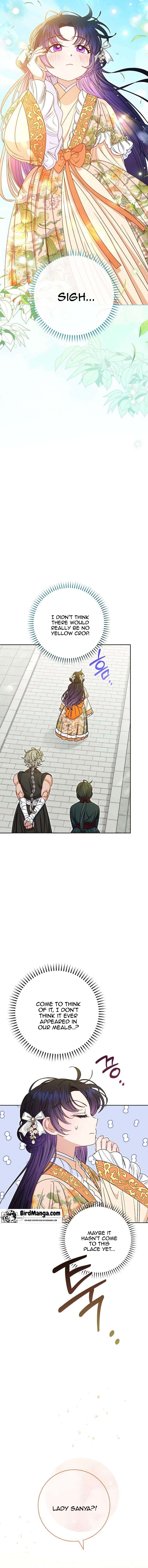 The Baby Concubine Wants to Live Quietly Chapter 32 81 16