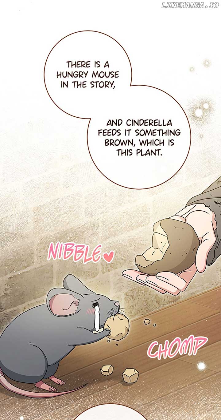 The Baby Concubine Wants to Live Quietly Chapter 45 264 05
