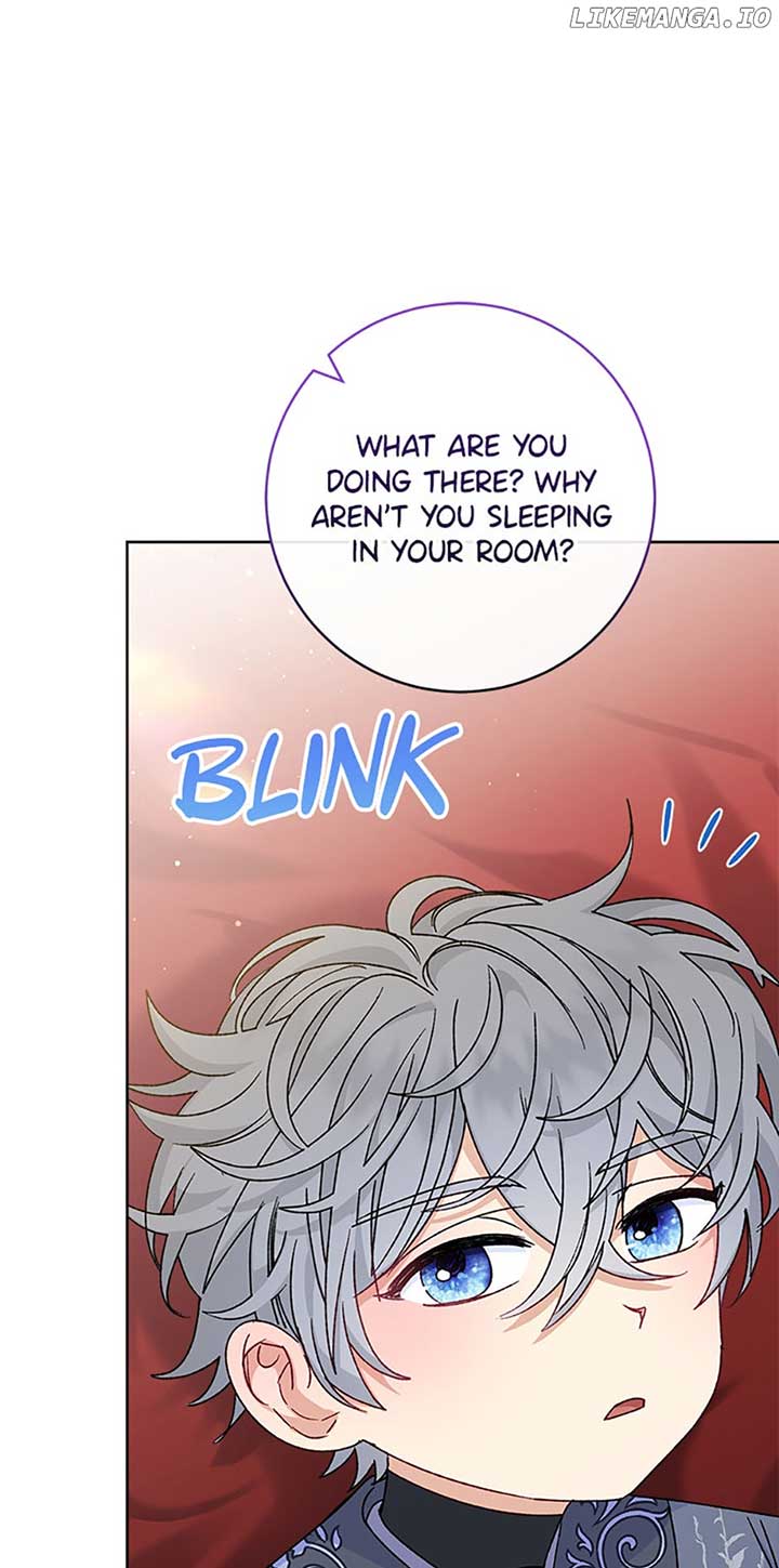 The Baby Concubine Wants to Live Quietly Chapter 47 311 52