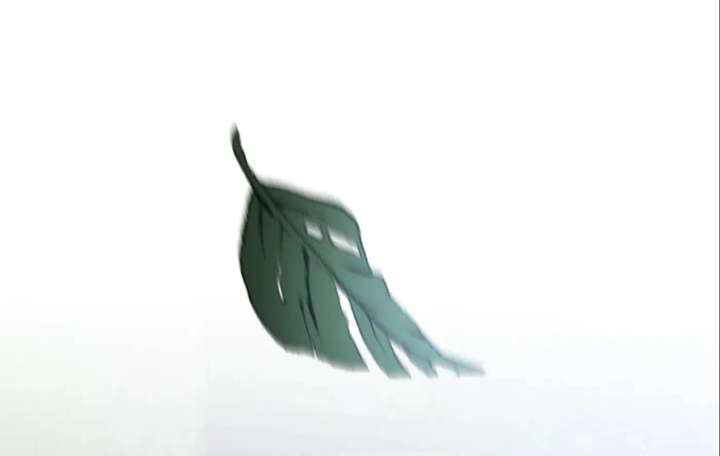 36