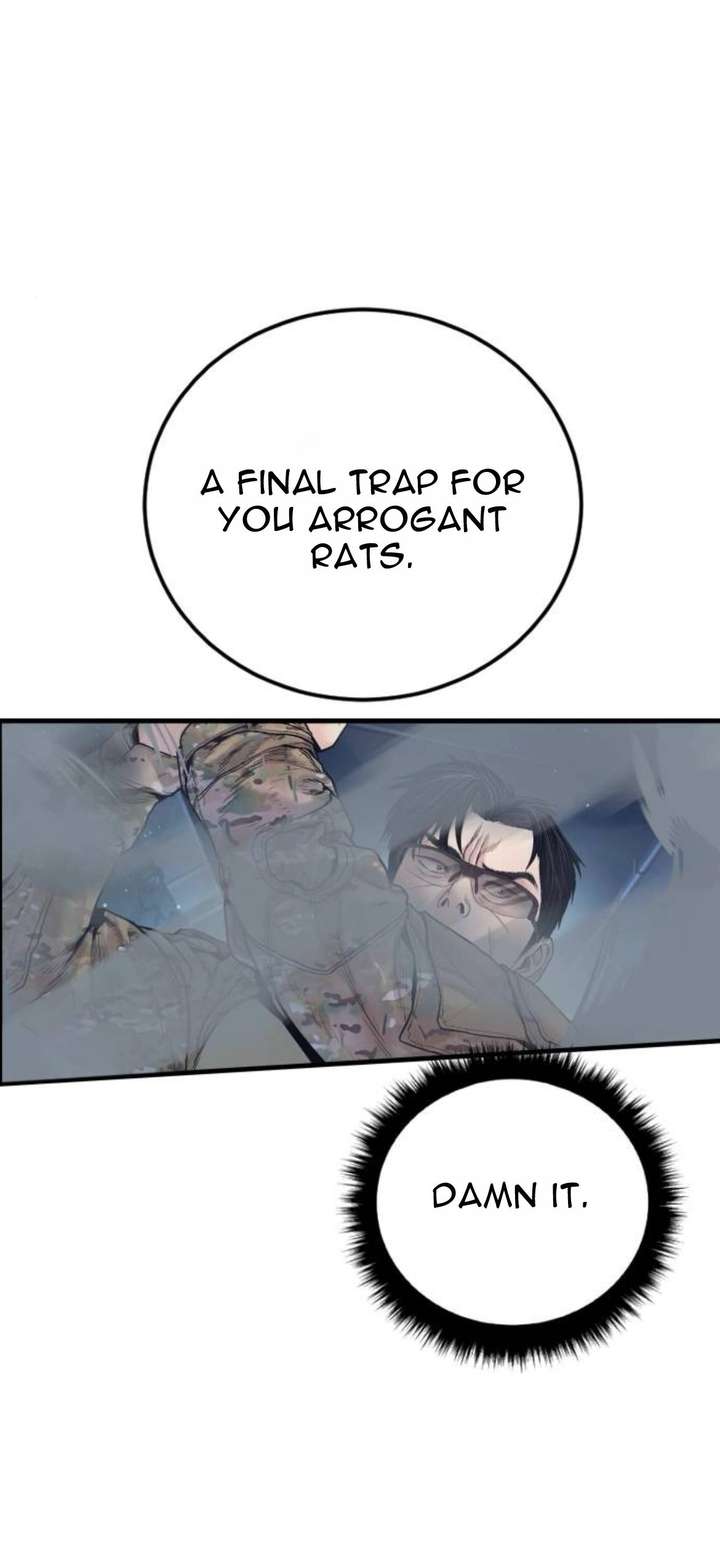 ch 231 81