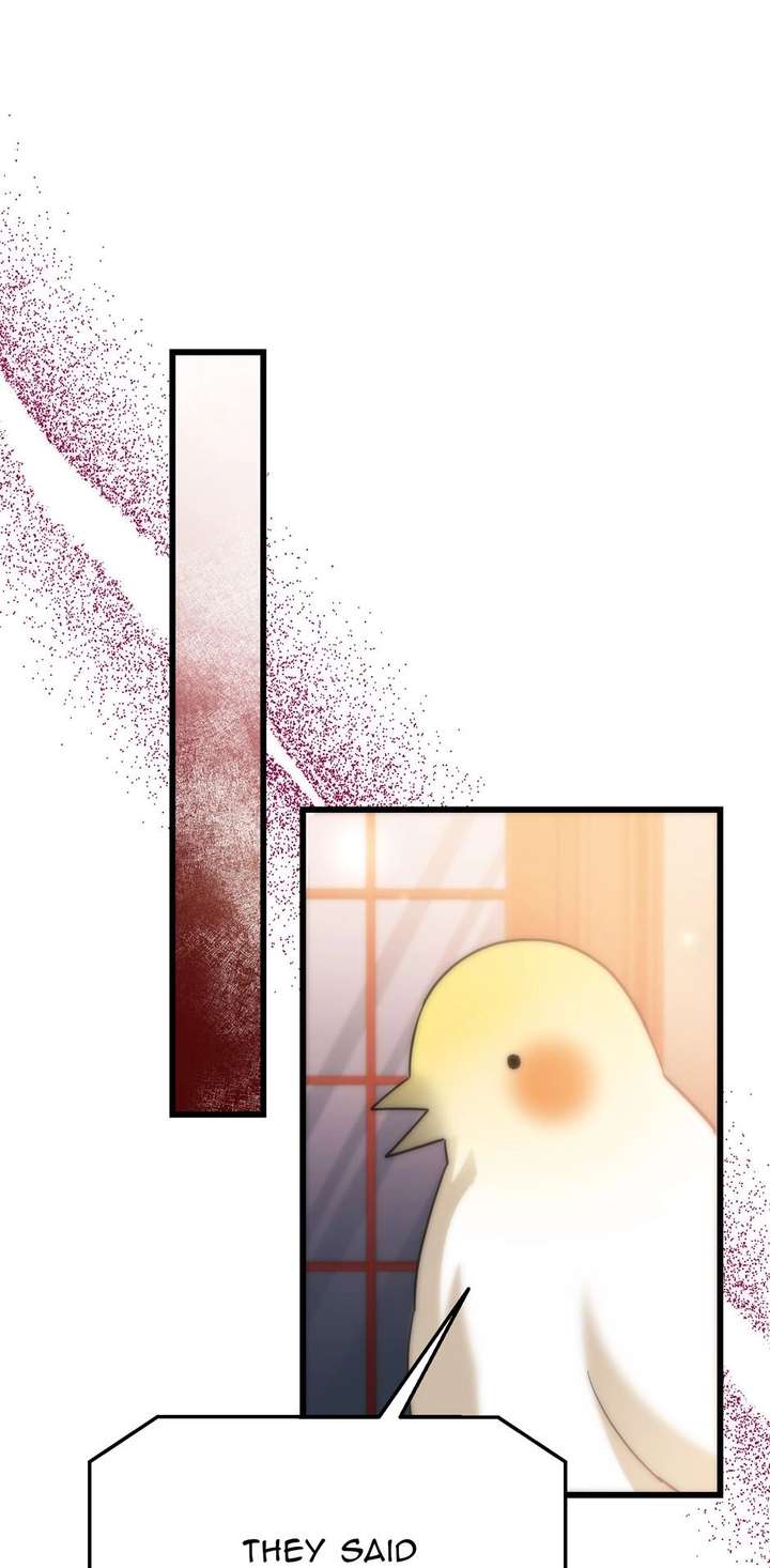 ch 67 41