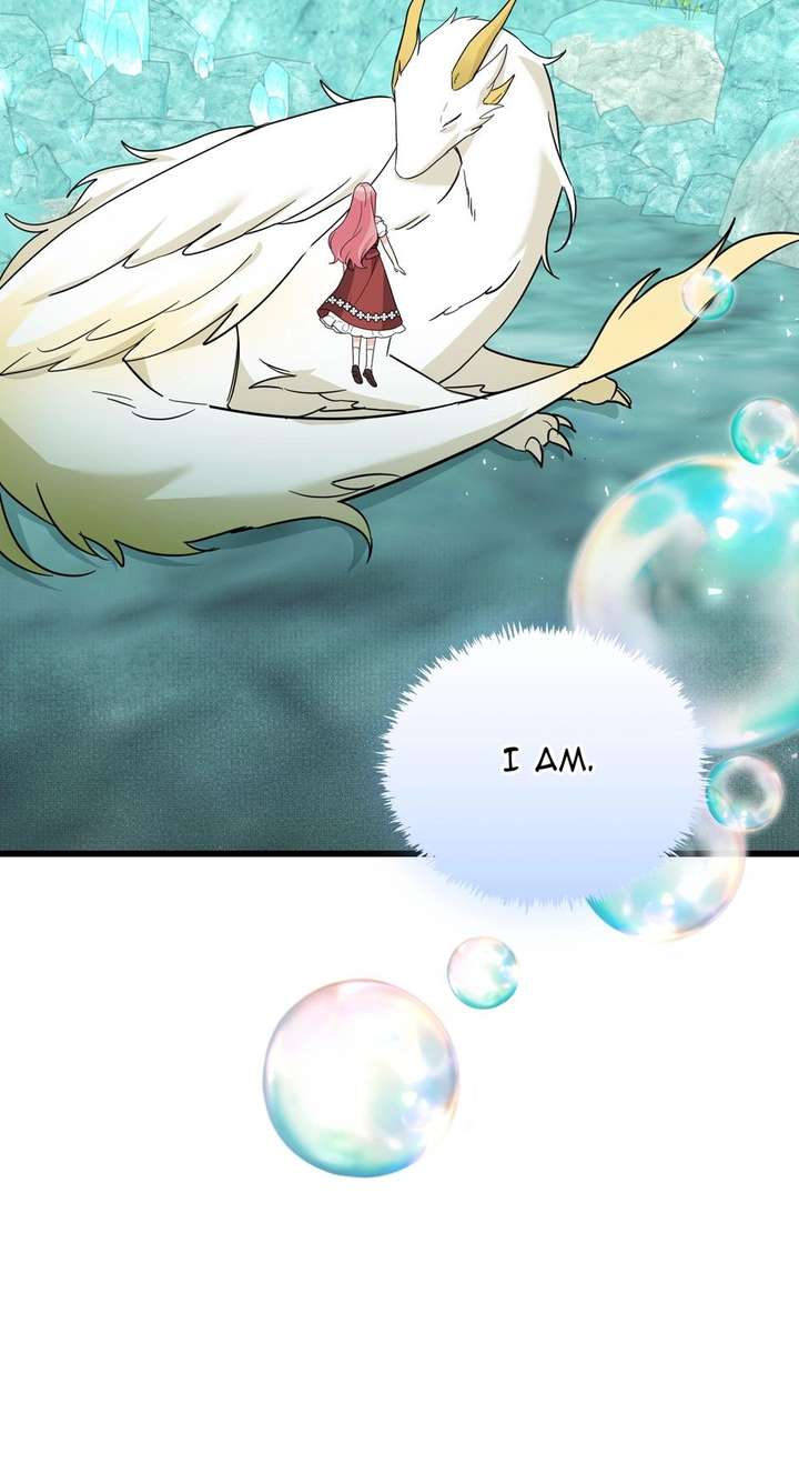 ch 68 66