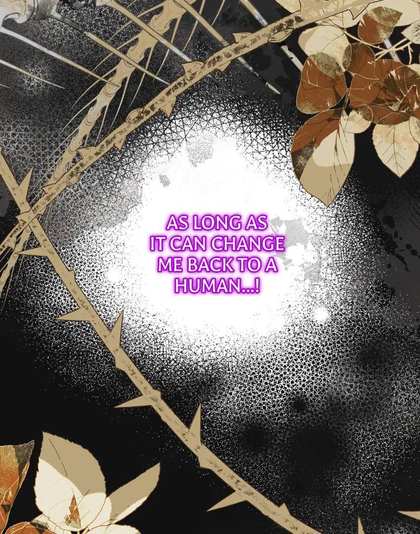 I’m a Doll, but the Tyrant Is Obsessed With Me Chapter 36 255 41