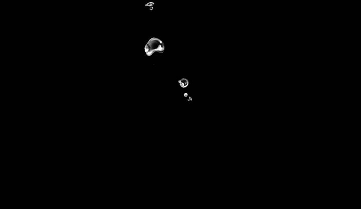 I’m a Doll, but the Tyrant Is Obsessed With Me Chapter 6 352 81