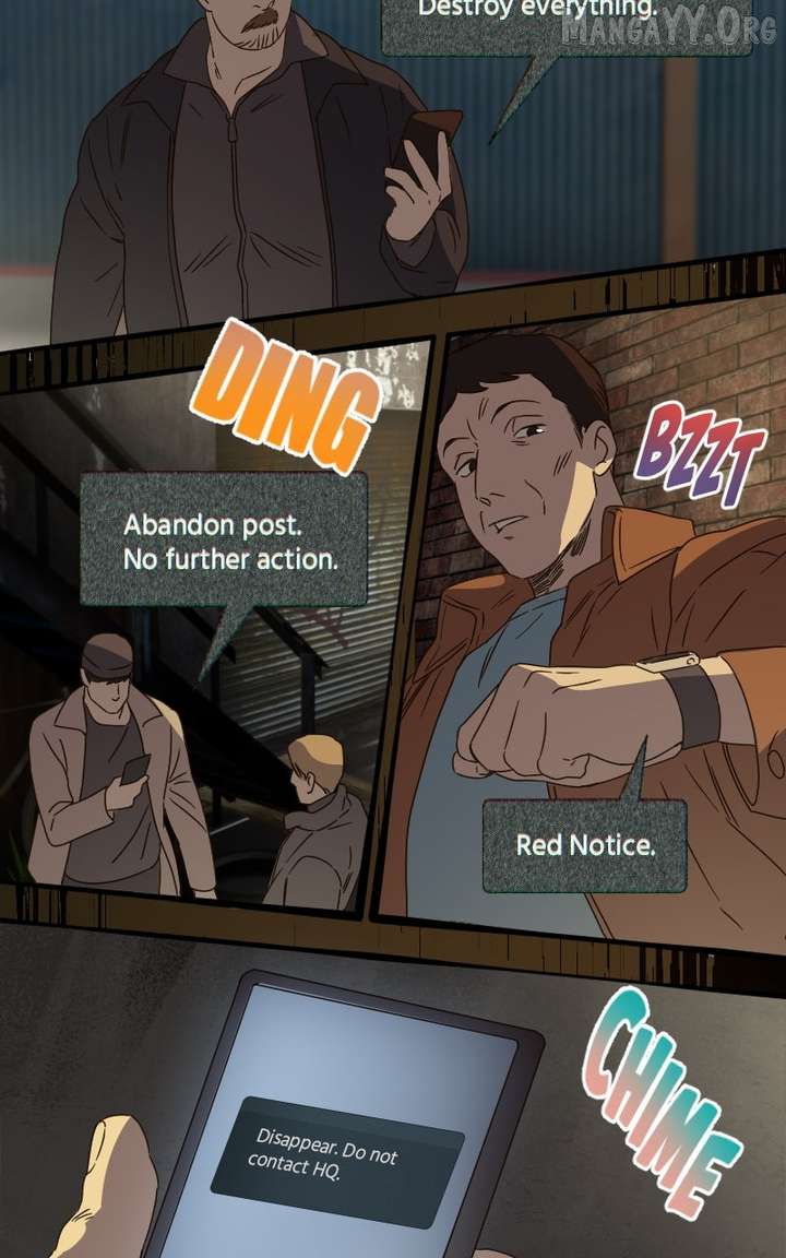 41