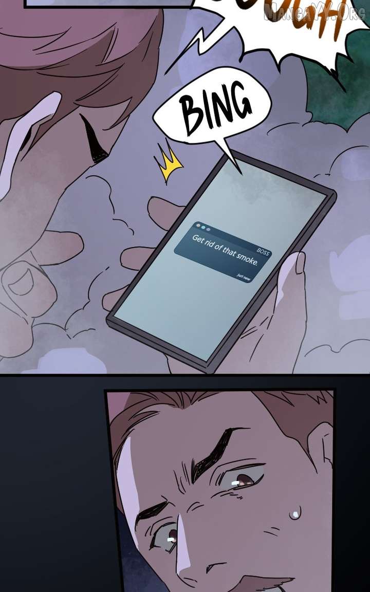 51