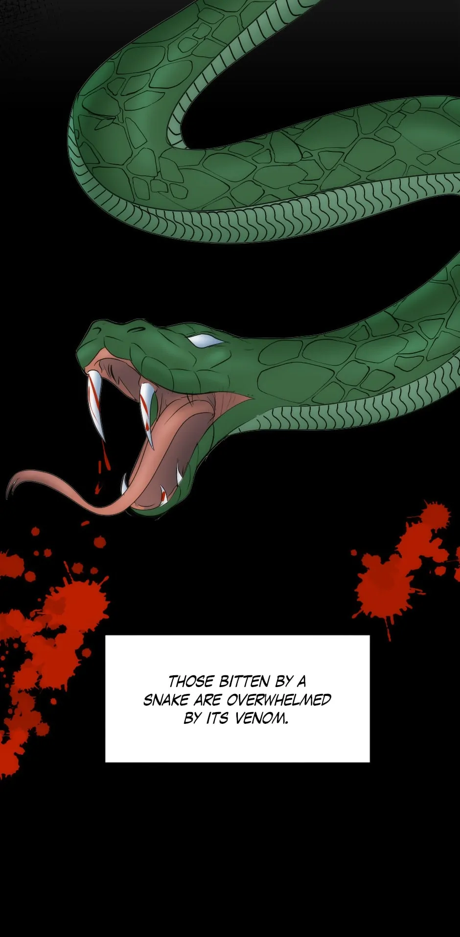 The Dragon Prince’s Bride Chapter 149 242 52