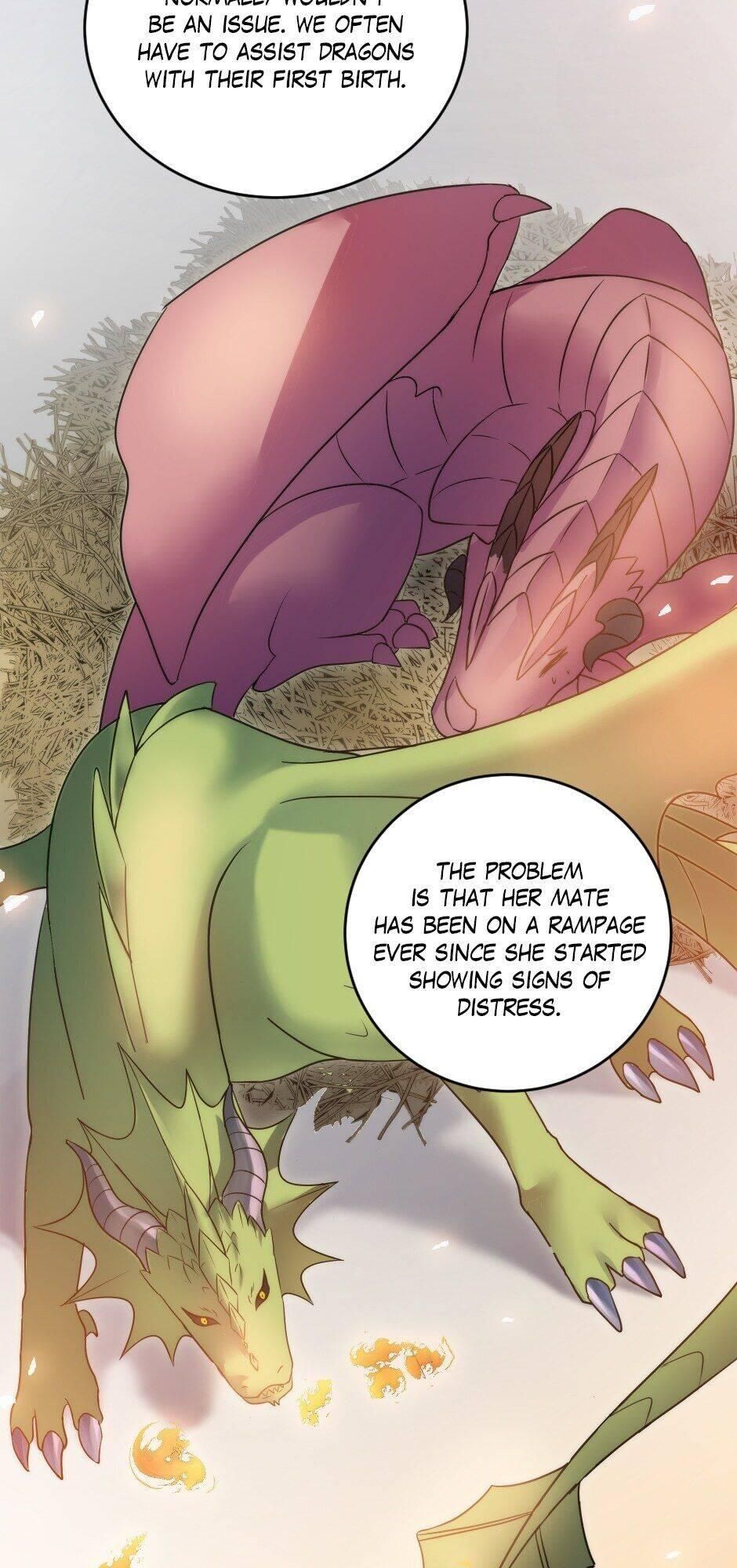 The Dragon Prince’s Bride Chapter 74 156 05