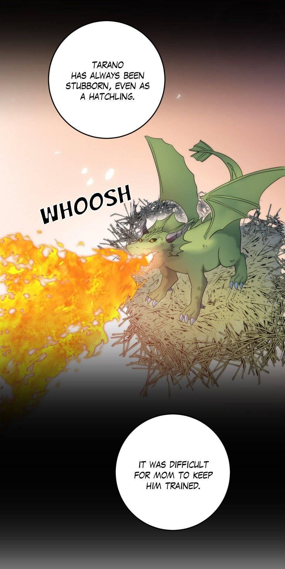 The Dragon Prince’s Bride Chapter 74 163 12