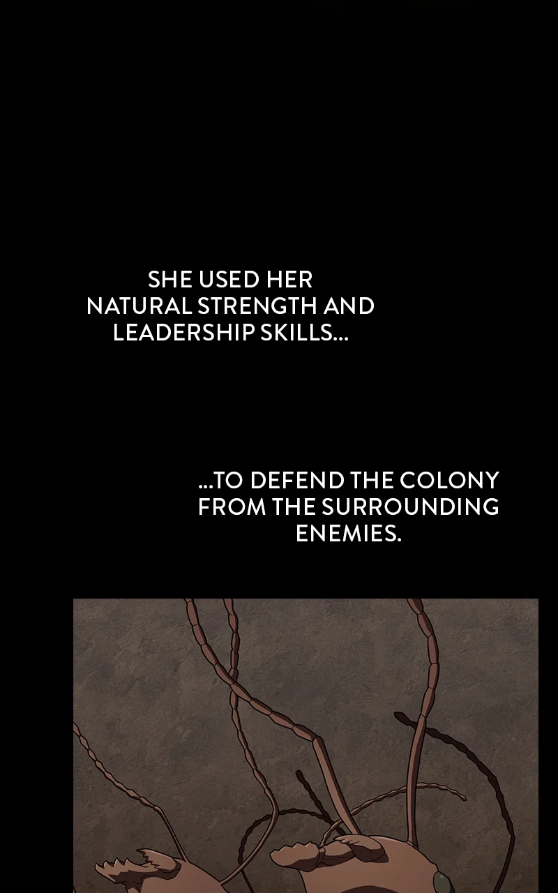 The Advanced Player of the Tutorial Tower Chapter 210 468 56