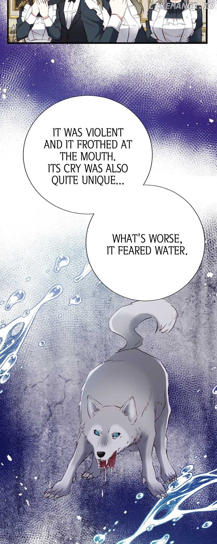 Mending the Barbaric Prince’s Wounds Chapter 11 233 16
