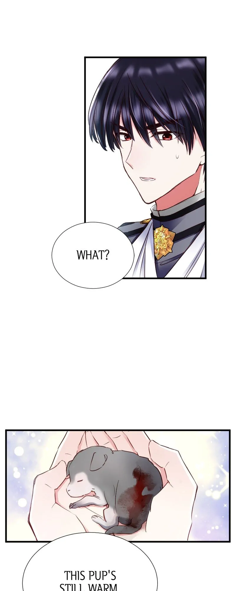 Mending the Barbaric Prince’s Wounds Chapter 8 167 22