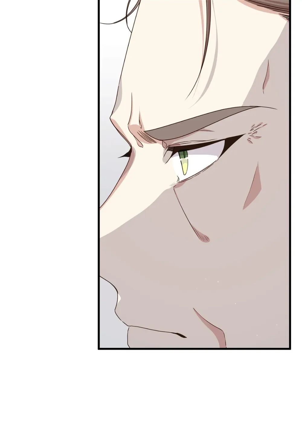 I am the Older Sister of the Possessed Female Lead Chapter 39 295 12