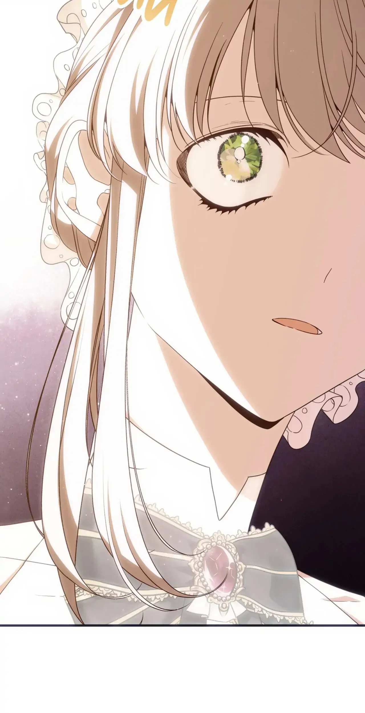 I am the Older Sister of the Possessed Female Lead Chapter 96 345 035
