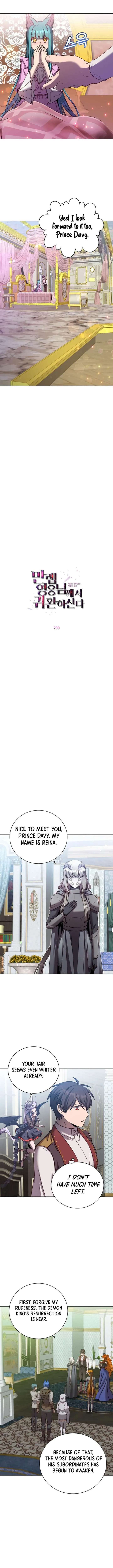 ch 230 3