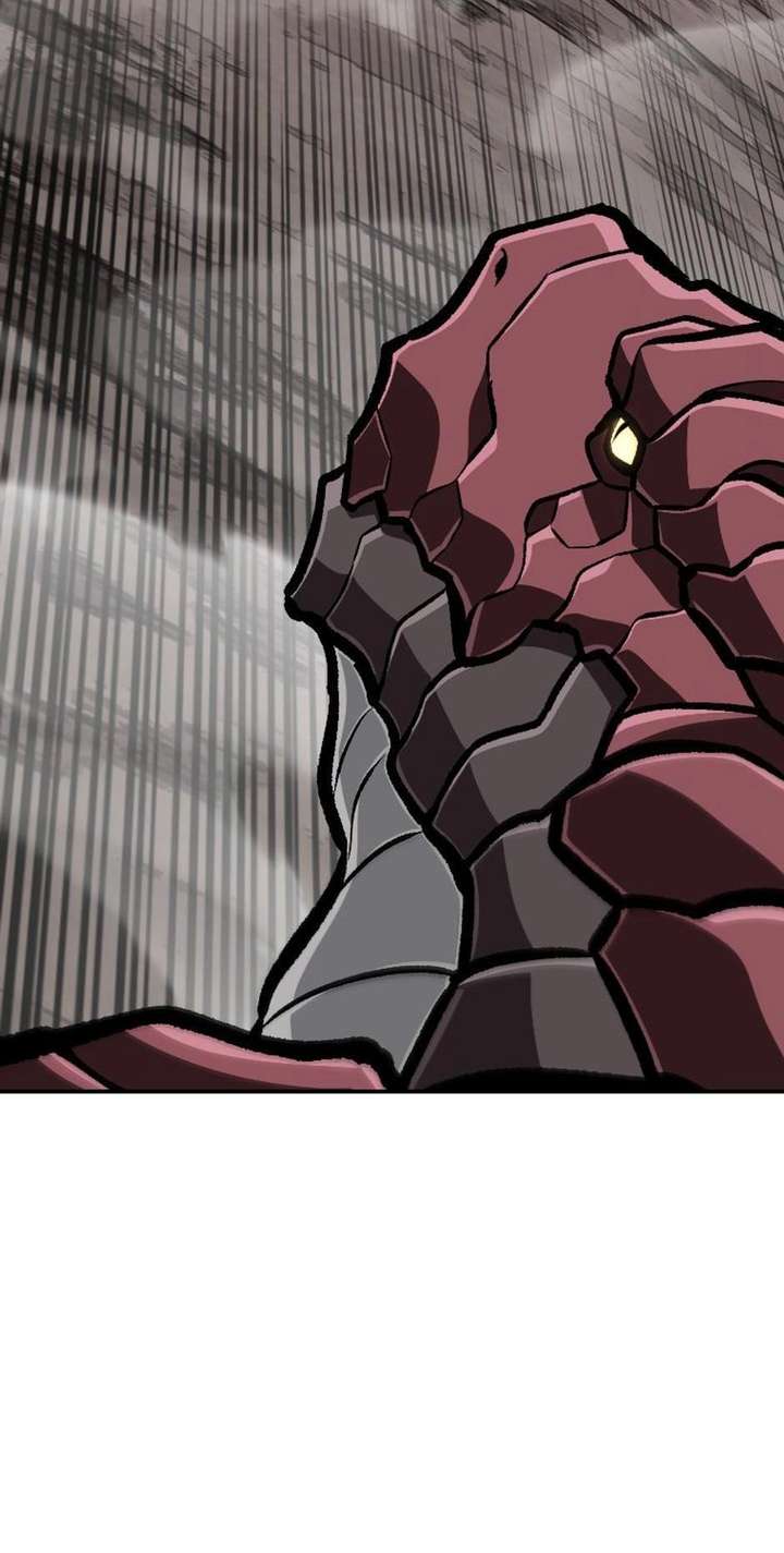 ch 51 54