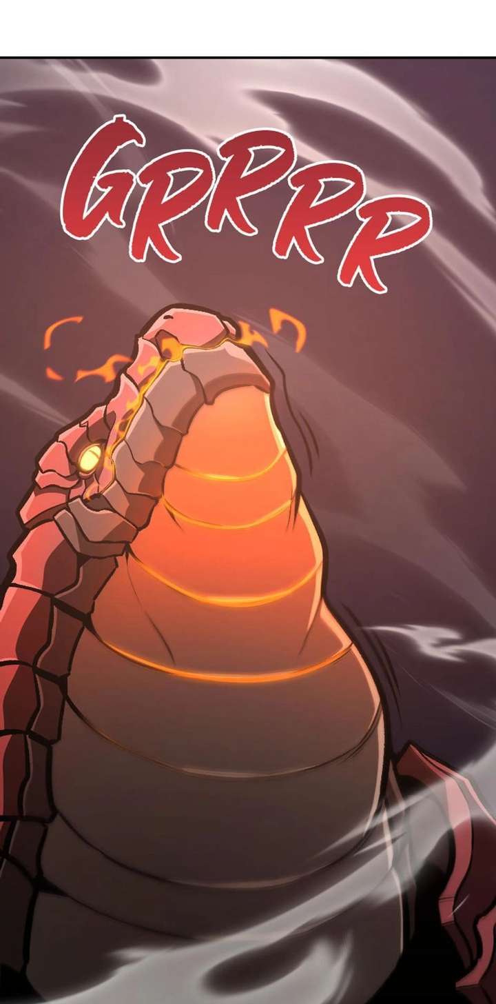 ch 51 55