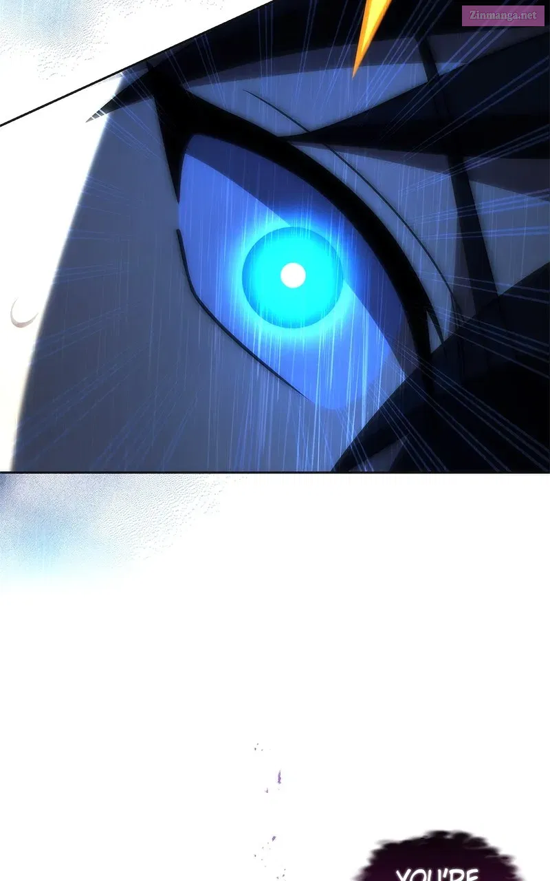 081