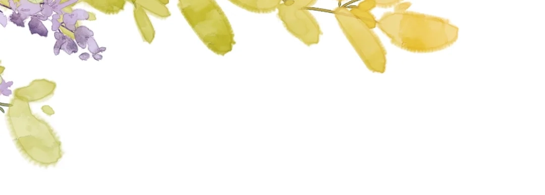 f49ac7e36714