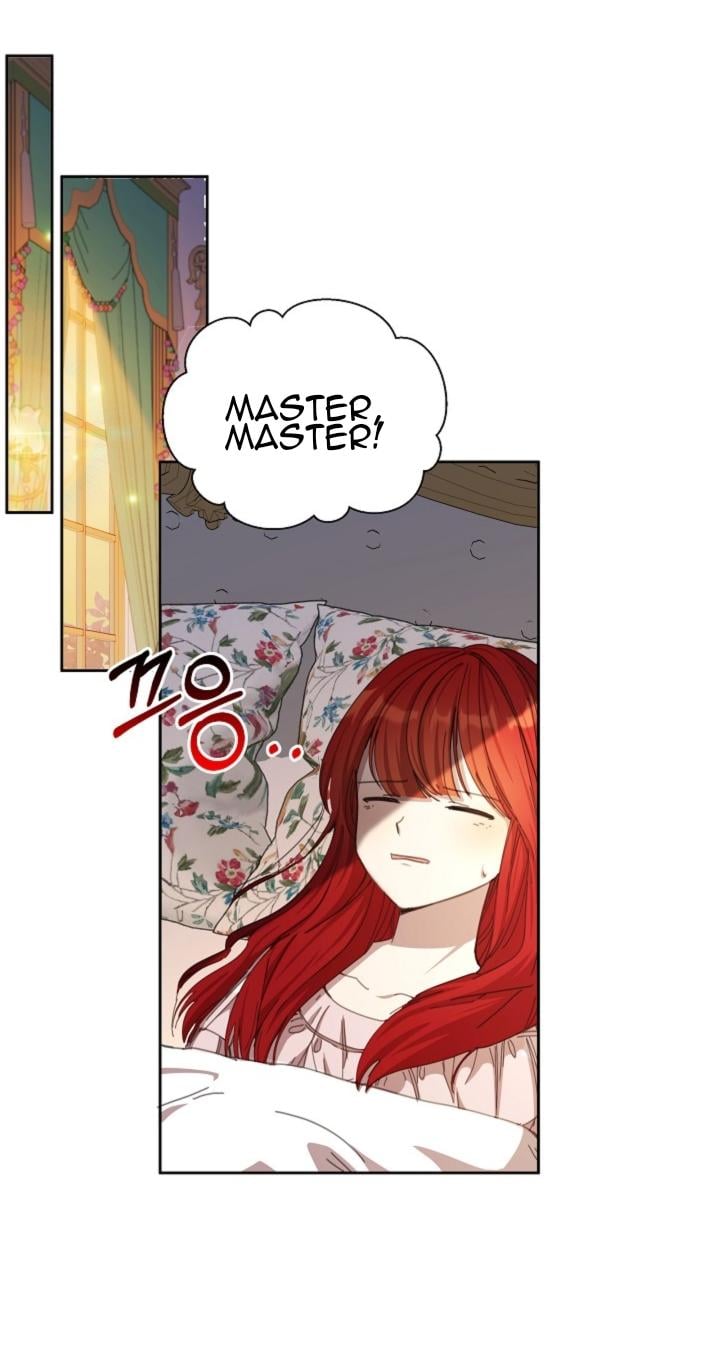 66