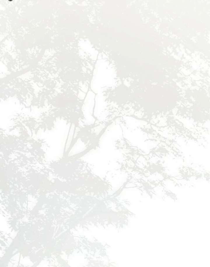 081
