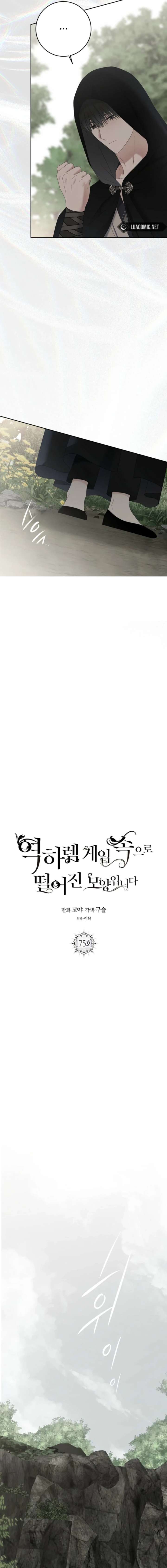 ch 175 9