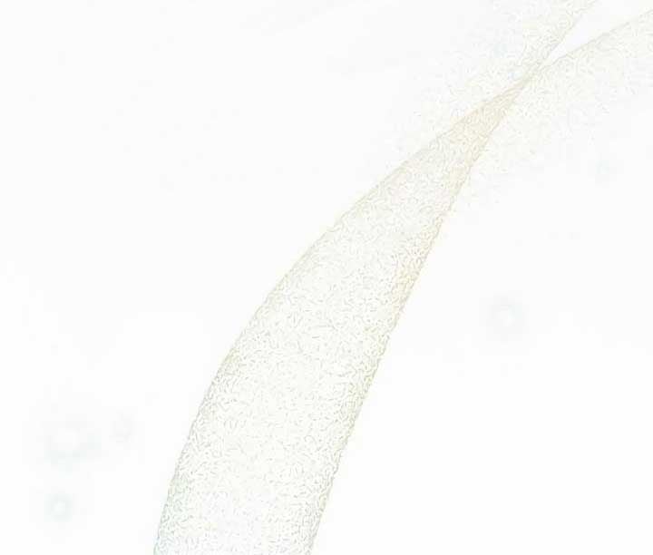 096