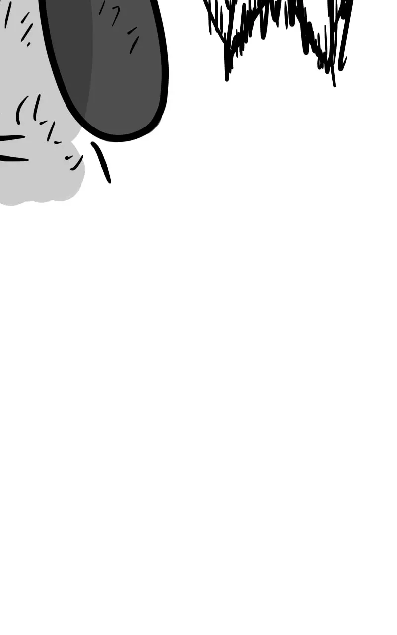 dfd6abd337bb