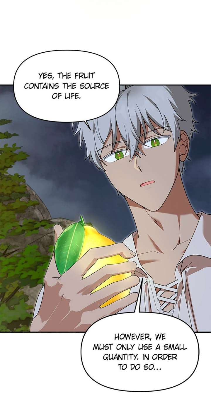 ch 65 31
