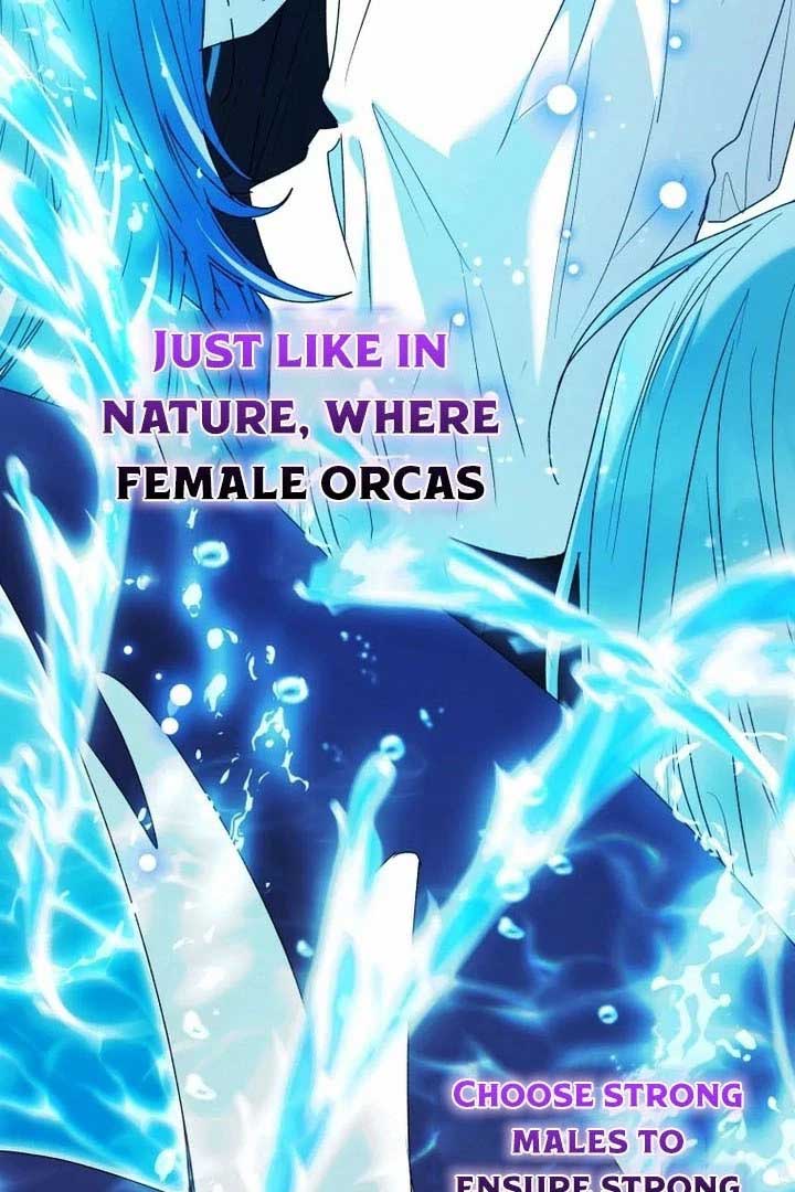 Black Killer Whale Baby Chapter 77 549 122