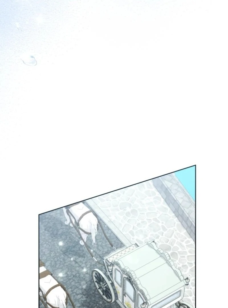 Black Killer Whale Baby Chapter 85 439 021