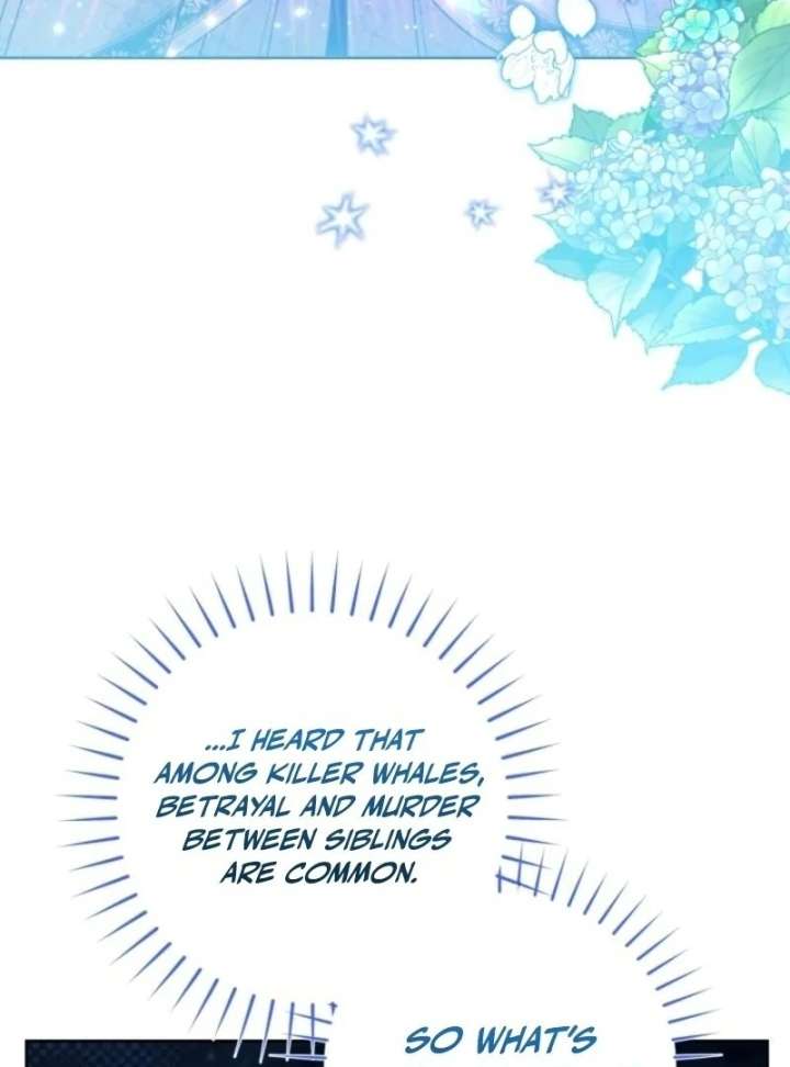 Black Killer Whale Baby Chapter 86 521 094