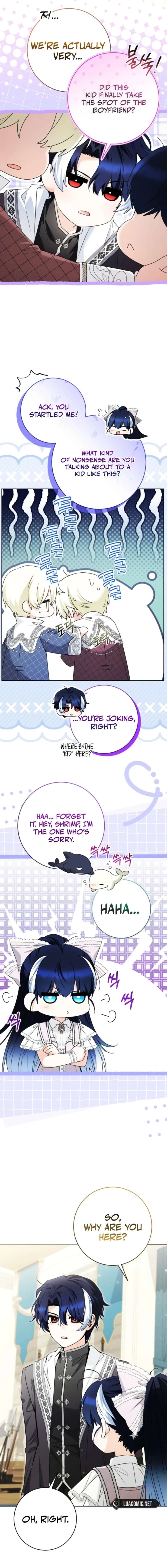 ch 95 19