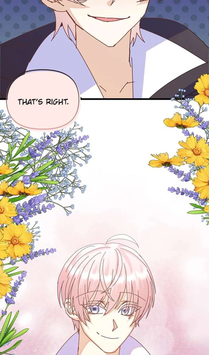 ch 95 35