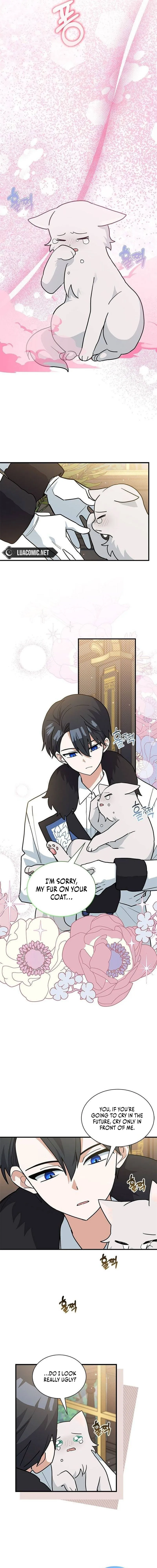 You’re a Cat, But You’ve Been Adopted by a Wolf Family? Chapter 42 56 04