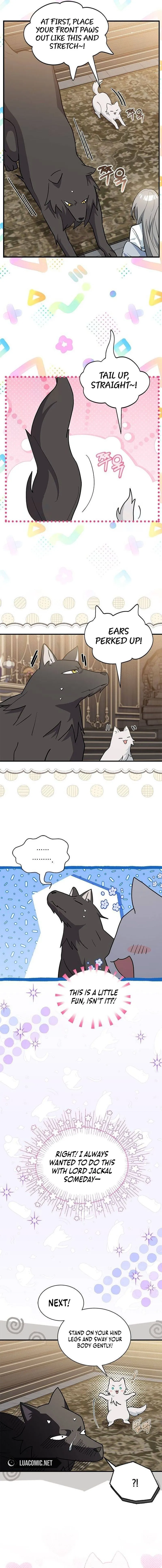 You’re a Cat, But You’ve Been Adopted by a Wolf Family? Chapter 42 61 09