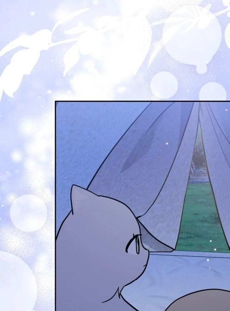 081