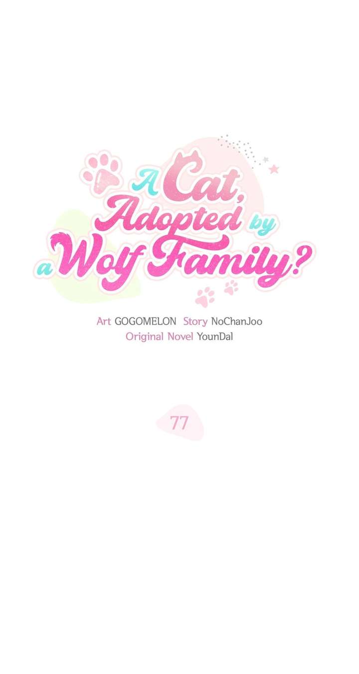 ch 77 17