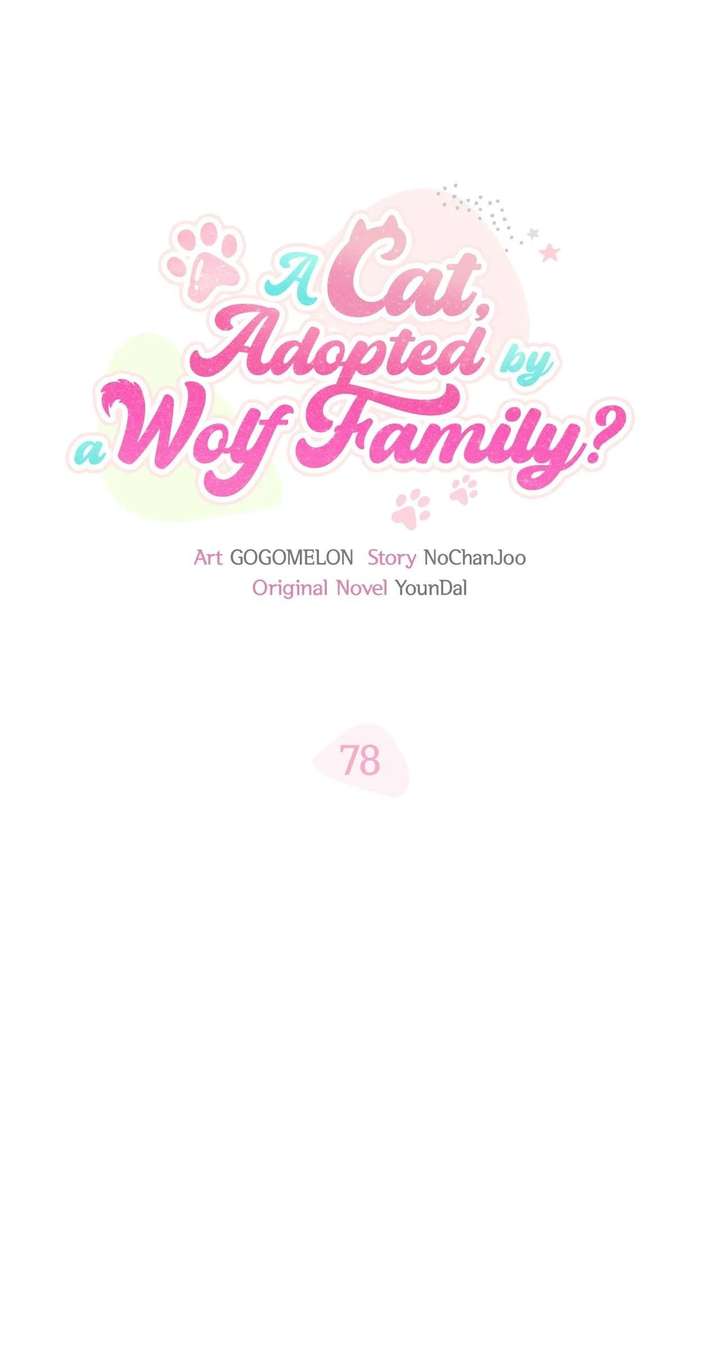 ch 78 25