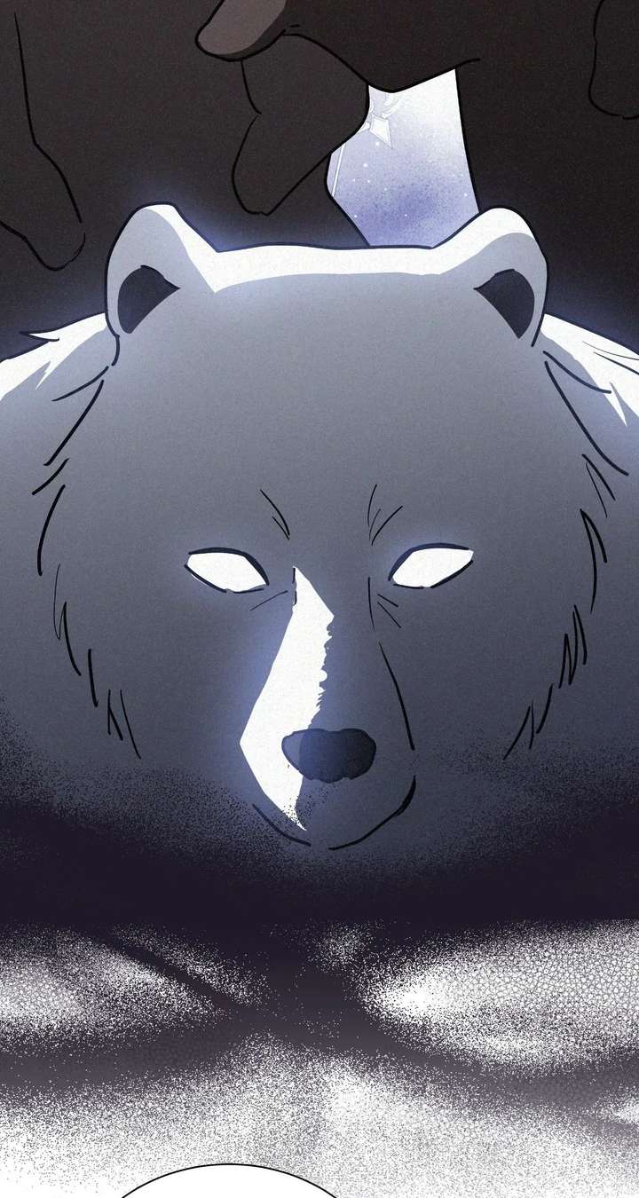 ch 78 45