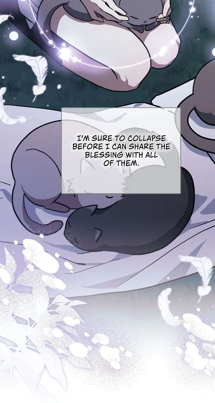 ch 79 85