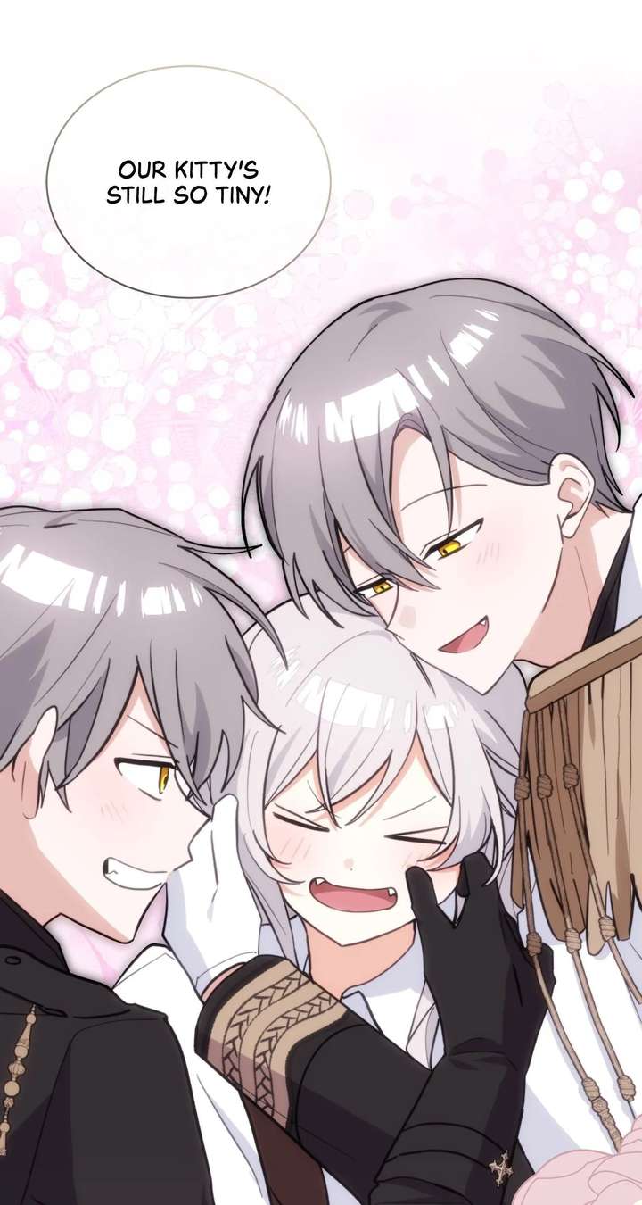ch 80 24