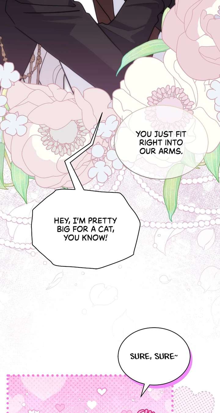 ch 80 25
