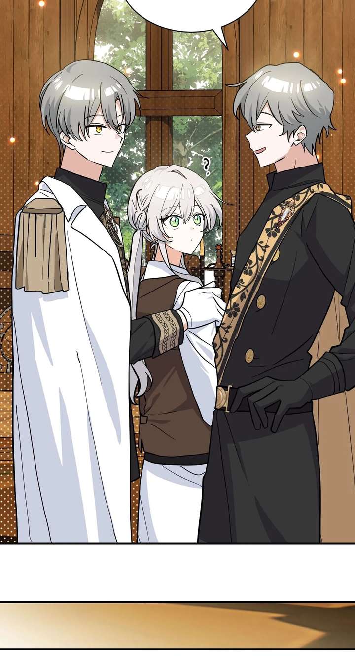 ch 80 28