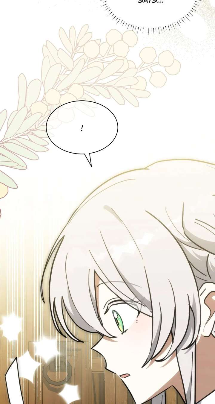 ch 80 88