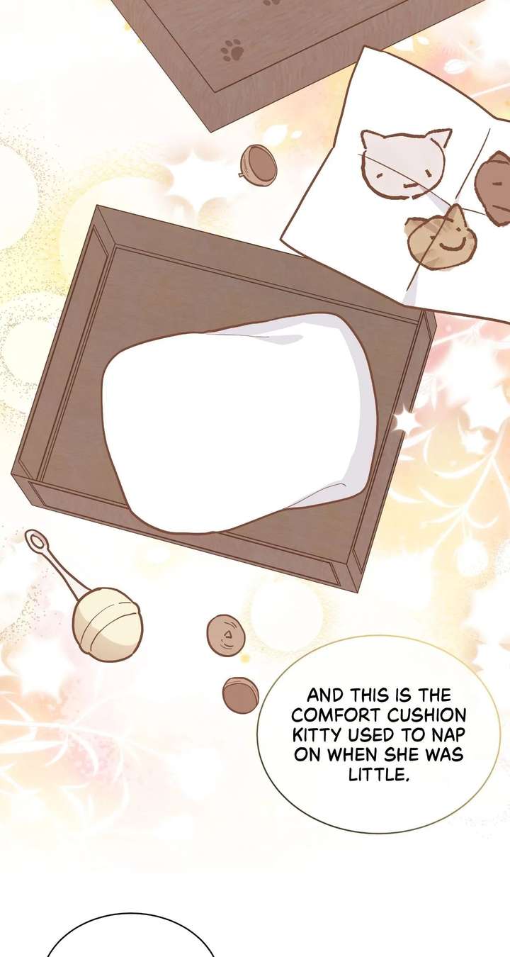 You’re a Cat, But You’ve Been Adopted by a Wolf Family? Chapter 81 309 ch 81 27