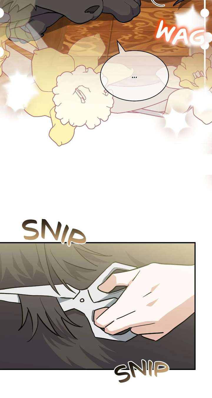 You’re a Cat, But You’ve Been Adopted by a Wolf Family? Chapter 81 321 ch 81 39